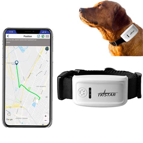 rfid pet tracker|best gps tracker for animals.